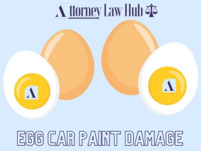 Egg car paint damage