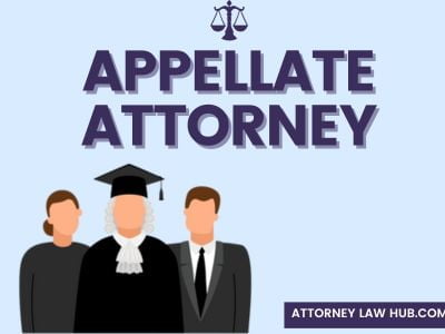 Appellate Attorney