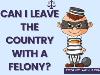 Can I Leave The Country with a Felony?